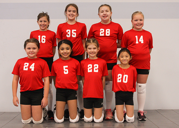 YDT-Zinc's team picture coming soon