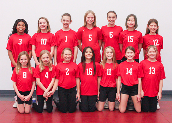 YDT-Black's team picture coming soon